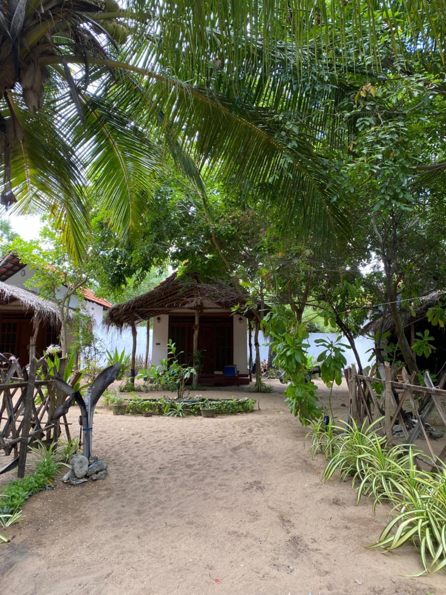 فندق Margarita Kitesurfing School Sri Lanka كالبيتيا المظهر الخارجي الصورة